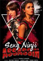 Sexy Ninja Assassin